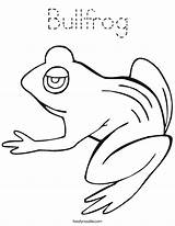 Coloring Bullfrog Tadpole Frog Frogs Pages Printable Noodle Hibernate Color Drawings Twistynoodle Outline Built California Usa Getcolorings Twisty 76kb sketch template