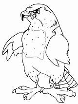 Falcon Coloring Mascot Peregrine Pages Falcons Drawing Color Printable Line Getdrawings Designlooter Supercoloring Drawings Draw 1600px 99kb 1200 sketch template