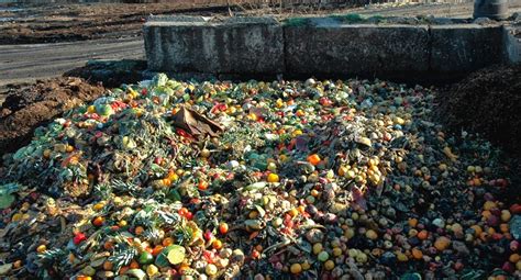 stop wasting food overproduction  main   food wastage