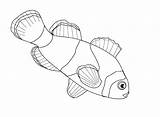 Puffer Pufferfish Drawing sketch template