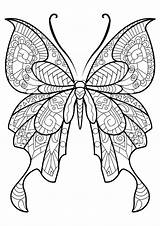 Coloring Butterfly Pages Difficult Adults Print sketch template