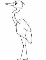 Heron Egret sketch template