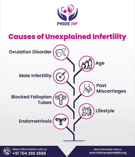 Unexplained Infertility Unexplained Infertility Treatment And Reasons