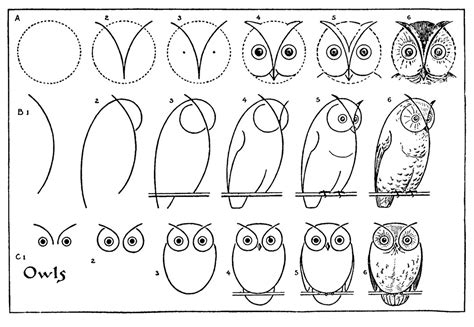 owl drawing step  step  ways  graphics fairy