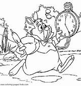 Coloriage Lapin Alicia Coloriages Presse Horloge Rabbit Maravillas Outlines Bojanke Bezoeken Adult Lescoloriages Crtež Disegno Stampa Gifgratis sketch template
