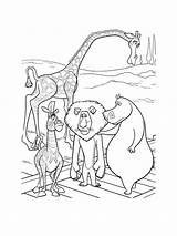 Madagascar Coloring Pages Printable Kids sketch template