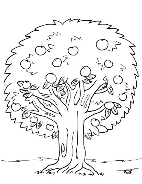 tree coloring page  worksheets spring coloring pages tree