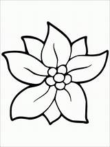 Coloring Pages Flower Cute Getcolorings Color sketch template