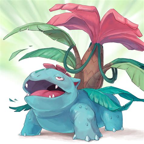 venusaur wallpapers images  pictures backgrounds