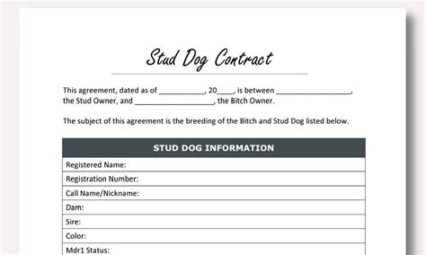 stud dog contract template etsy