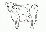 Cow Coloring Pages Printable Animal Kids Cows Farm Cute Holstein Drawing Beef Template Animals Angus Clipart Color Print Baby Getdrawings sketch template