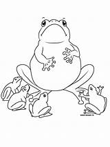 Frogs Bestcoloringpagesforkids Preschool sketch template