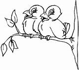 Vogel Uccelli Kleurplaten Ast Ramo Uccellini Mewarnai Vogelpaar Coloriages Malvorlage Animaatjes Ausmalbild Matita Ausmalen sketch template
