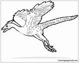Archaeopteryx Coloring Dinosaur Pages Color Designlooter Coloringpagesonly sketch template