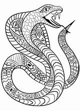 Fangs Snakes Reptiles Dangerous Mintz sketch template