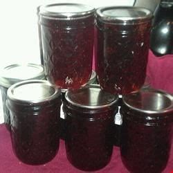 grape jelly recipe allrecipescom