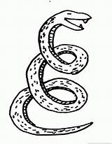 Snake Coloring Pages sketch template