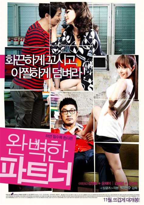 perfect partner korean movie 2011 완벽한 파트너 hancinema