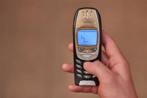 parita severni perla nokia stare telefony milion jestrab quagga