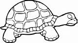 Turtle Tortoise Tortue Tortues Prek Clipartmag Coloringbay Bestappsforkids Migrate sketch template