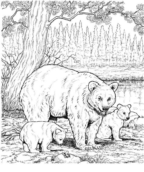 coloring pages american black bear printable  kids adults
