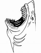 Shark Coloring Pages Great Sharks Cool Teeth Drawing Printable Print Kids Realistic Jaws Outline Color Sheet Megalodon Animals Getcolorings Cartoon sketch template