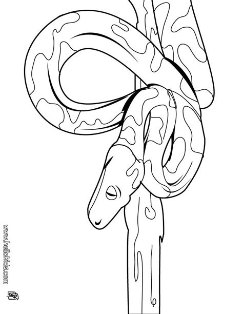 fun coloring pages  kids coloring pages  kids vrogueco