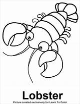 Lobster Coloring Pages Color Drawing Kids Red Footprint Animals Colouring Outline Crayfish Line Book Sheets Template Sea Printable Animal Print sketch template