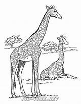 Giraffe Skip sketch template
