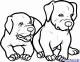 Pitbull Rottweiler Coloring Pages Dog Drawing Puppy Baby Step Dogs Pitbulls Draw Printable Clipart Color Book Kids Pit Pets Animals sketch template