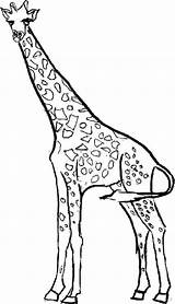 Giraffe Coloring Pages Kids Giraffes Printable Outline Color Drawing Realistic Adults Clipart Animal Colouring Print Giraf Girraffe Getdrawings Getcolorings Clipartbest sketch template