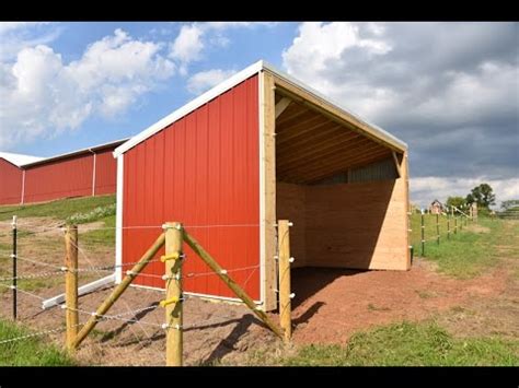 diy building lean barn shelter  horses  cattle youtube