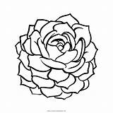 Succulent Coloring Pages sketch template