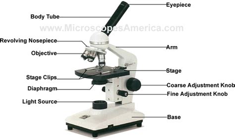 onsite microscope service  repair  wwwmicroscopesamericacom call