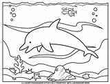 Dolphins Dolphin Getcolorings sketch template