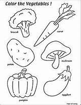 Vegetables Coloring Leaf Teacherspayteachers Lettuce Tracing Esl Vocabulary Learners Kaynak sketch template