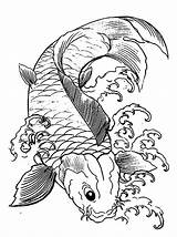 Coloring Koi Fish Pages Japanese Drawing Printable Colouring Color Psychedelic Gif Japan Library Getdrawings Getcolorings Popular Comments sketch template