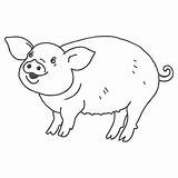 Schwein Malvorlagen Marabu Vorlagen Malen Vorlage Malvorlage Windowcolor Ausdrucken Besuchen Auswählen sketch template