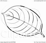 Leaf Outline Coloring Clipart Illustration Royalty Rf Lal Perera Background Includes Version sketch template