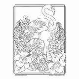 Flamingo Summer Coloring Pages Tropical Flowers Flower Bliss Choose Board Coloringbliss Bird Detailed sketch template