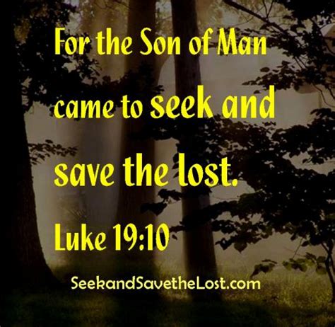 resolved seek  save  lost