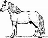 Horse Printable Coloring Pages Coloring4free Walking Warszawianka Outline sketch template