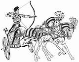 Chariot Egyptian Egypt Horses Ancient Vector Pharaoh Two Warrior Bow Illustration Horse Carrying Pulled Wheeled Chinese Armed Preview sketch template
