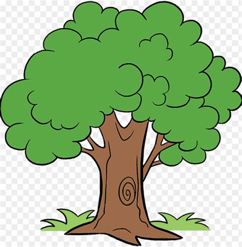 hd png   draw cartoon tree cartoon tree png