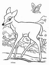 Bambi Bamby Bojanke Colorier Coloriages Stampa Crtež šest Pedeset Hellokids Drucken sketch template