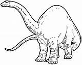 Coloring Apatosaurus Pages Female sketch template