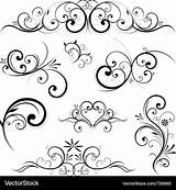 Vector Flourishes Floral Decorative Swirling Elements Vectors sketch template