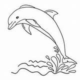 Bottlenose Dolphin Coloring 220px 82kb sketch template