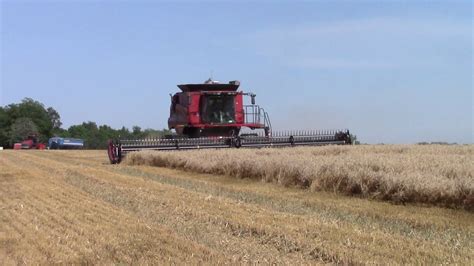 case ih  tracked combine harvesting wheat youtube