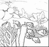 Reef Coral Drawing Ecosystem Coloring Ocean Barrier Great Pencil Drawings Pages Clipart Sea Underwater Draw Sketch Printable Fish Easy Cliparts sketch template